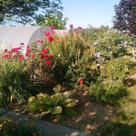 Aux Pres De Mon Pere